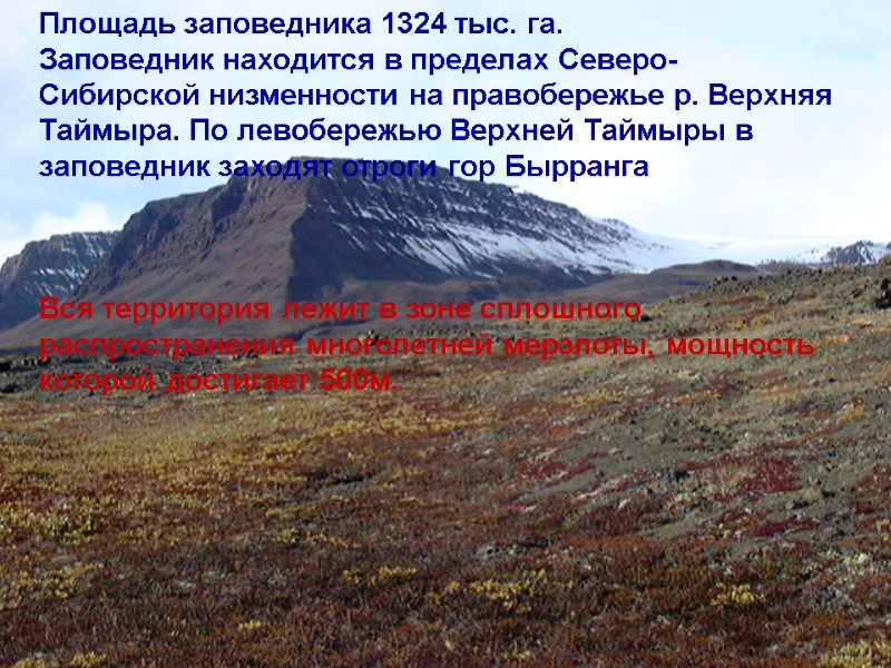 Площадь заповедника 1324 тыс. га. Заповедник находится в пределах Северо-Сибирской низменности на правобережье р.